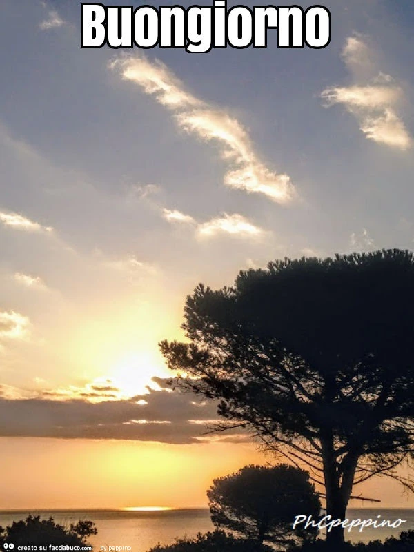 Buongiorno