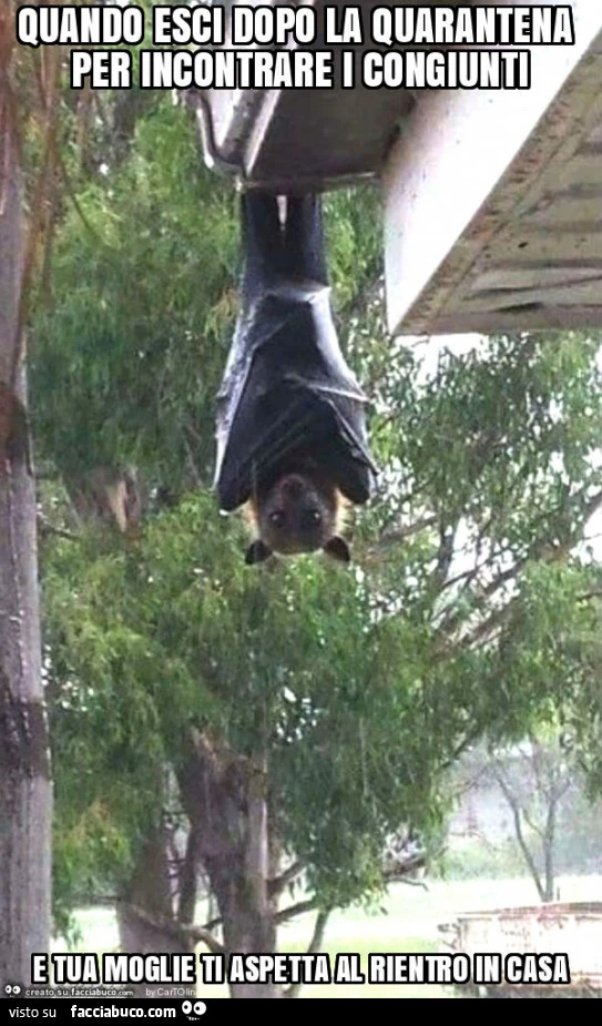 Quando esci dopo la quarantena per incontrare i congiunti e tua moglie ti aspetta al rientro in casa