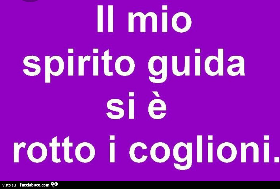 Il mio spirito guida si è rotto i coglioni Il mio spirito guida si è rotto i coglioni