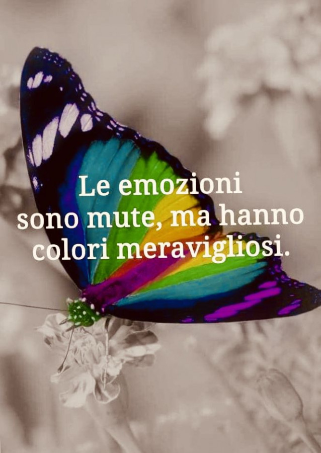 Buon Pome...… chiacchiera pubblicata da Chamecat - Facciabuco.com