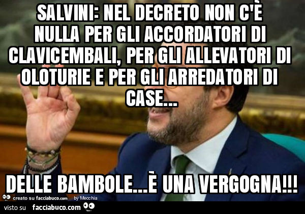 Salvini: nel decreto non c'è nulla per gli accordatori di clavicembali, per gli allevatori di oloturie e per gli arredatori di case… delle bambole… è una vergogna