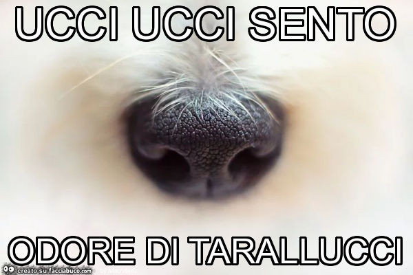 Ucci ucci sento odore di tarallucci