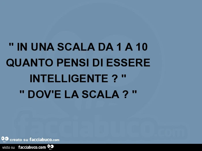 " in una scala da 1 a 10 quanto pensi di essere intelligente? " " Dov'è la scala? "