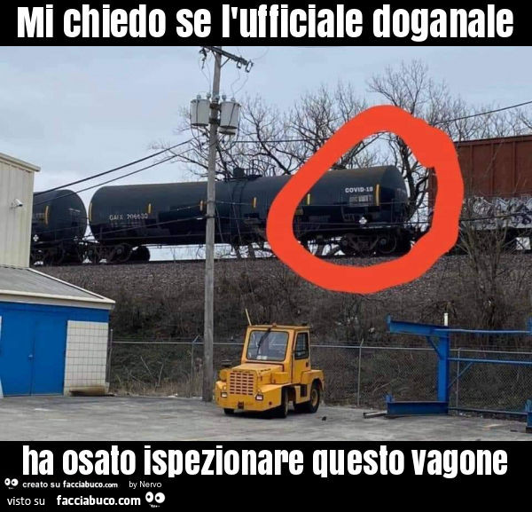 Mi chiedo se l'ufficiale doganale ha osato ispezionare questo vagone