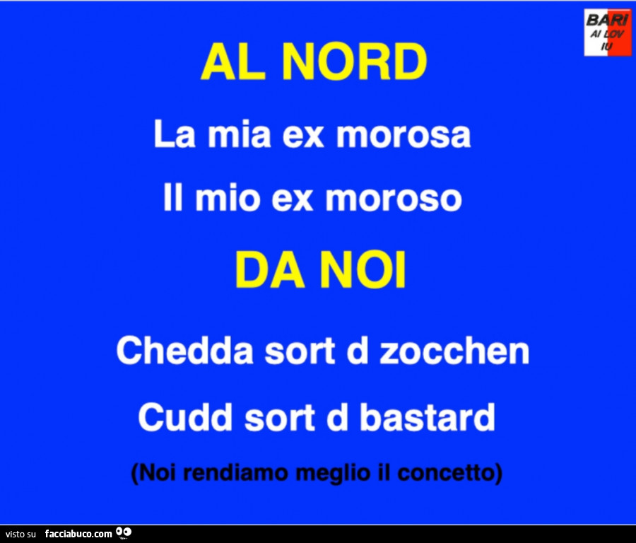 Al nord la mia ex morosa il mio ex moroso. Da noi chedda sort d zocchen cudd sort d bastard. Noi rendiamo meglio il concetto