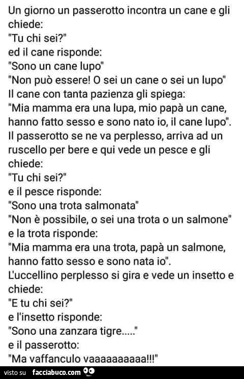 Un giorno un passerotto incontra un cane e gli chiede: ìtu chi sei? Ed il cane risponde: sono un cane lupo non può essere! O sei un cane o sei un lupo il cane con tanta pazienza gli spiega: mia mamma era una lupa