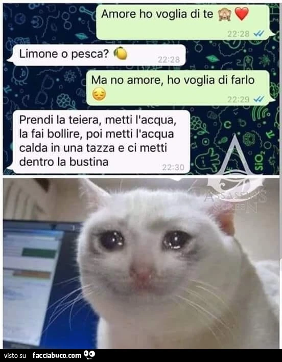 Vaccata