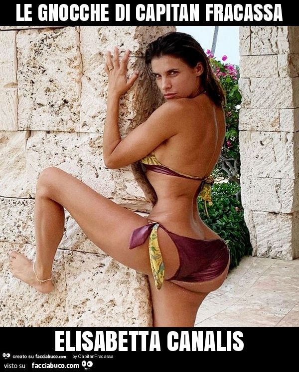 Le gnocche di capitan fracassa elisabetta canalis