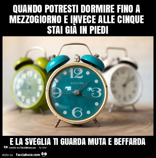 Quando potresti dormire fino a mezzogiorno e invece alle cinque stai già in piedi e la sveglia ti guarda muta e beffarda