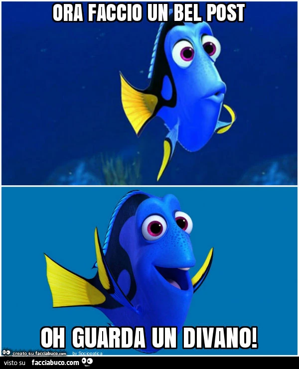 Ora faccio un bel post oh guarda un divano