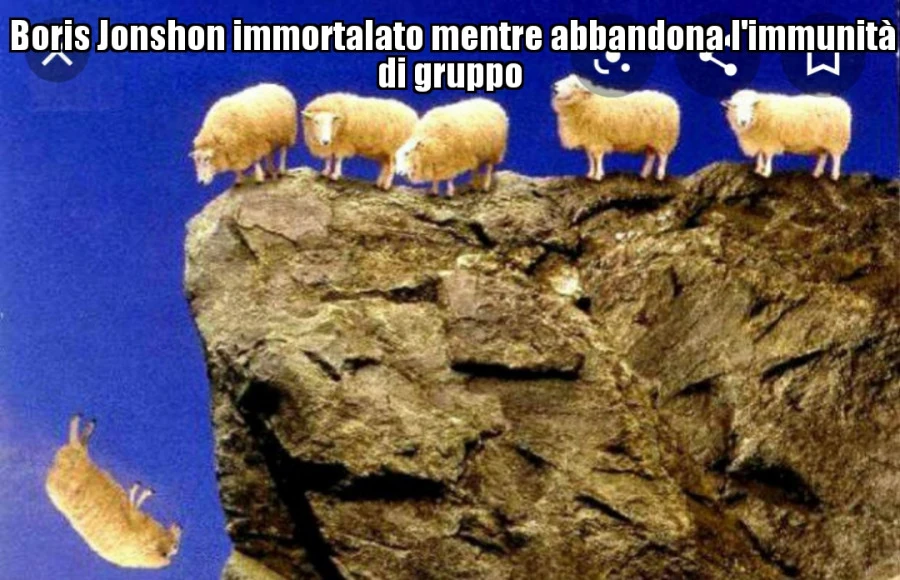 Uscita dal gregge