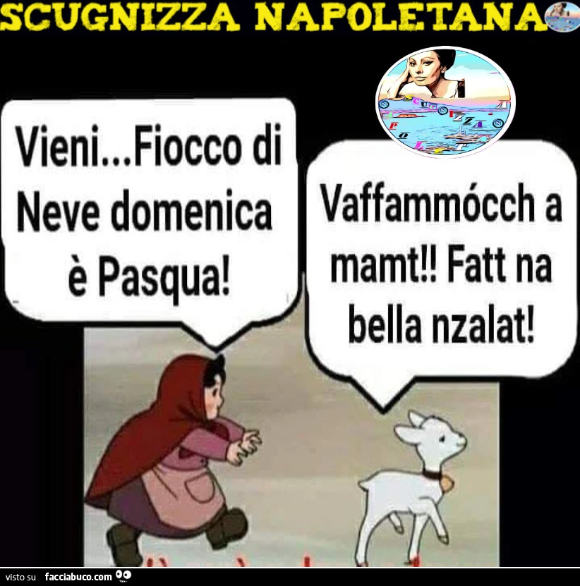 Vaccata