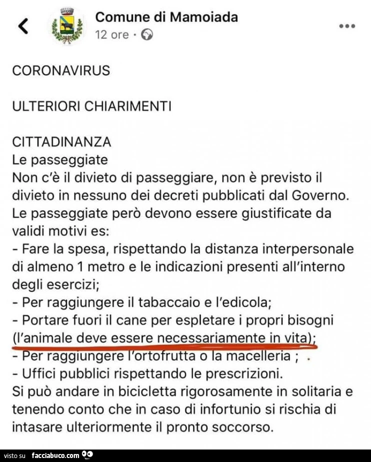 Coronavirus ulteriori chiarimenti: portare fuori il cane per espletare i propri bisogni: l'animale deve essere necessariamente in vita