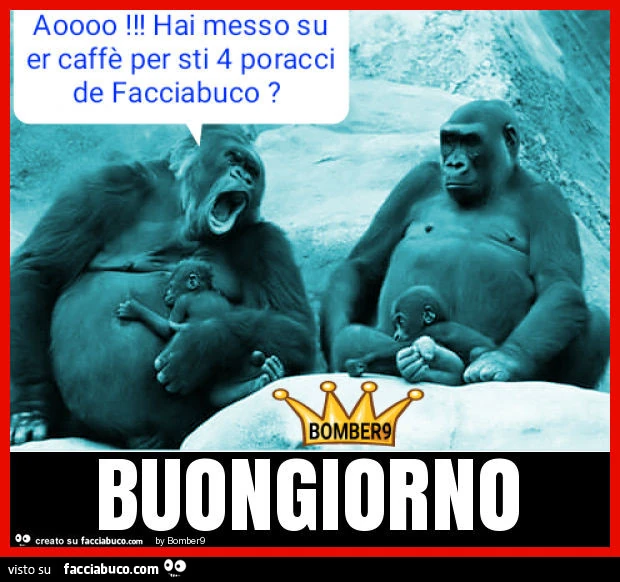 Aooo hai messo su er caffe per sti 4 poracci de facciabuco Buongiorno