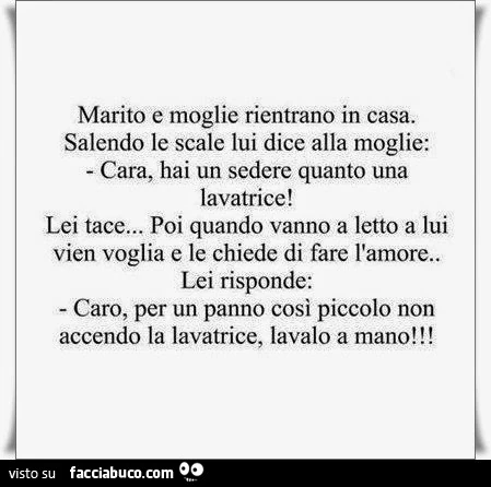 Marito e moglie rientrano in casa. Salendo le scale lui dice alla moglie: cara, hai un sedere quanto una lavatrice! Lei tace&hellip; poi quando vanno a letto a lui vien voglia e le chiede di fare l'amore