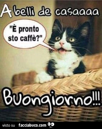 Vaccata