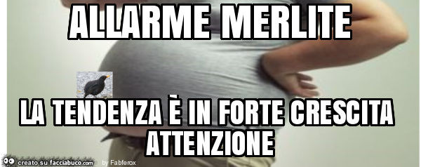 Allarme merlite la tendenza è in forte crescita attenzione