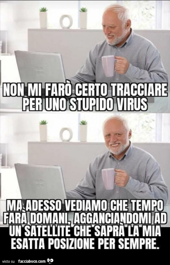 Vaccata