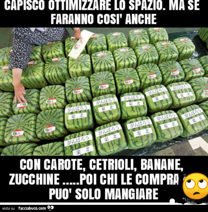 Ortaggi e loro uso