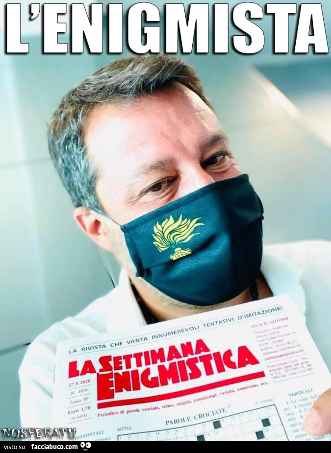 Mat Salvini - L'enigmista