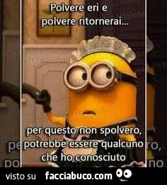 Vaccata