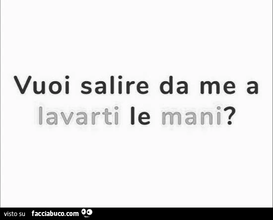 Vuoi salire da me a lavarti le mani?