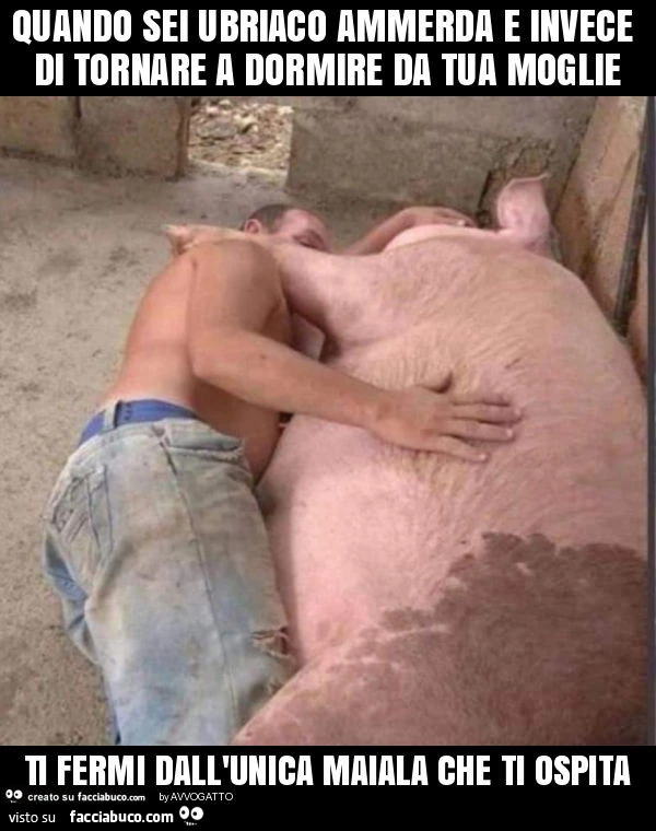 Quando sei ubriaco ammerda e invece di tornare a dormire da tua moglie ti fermi dall'unica maiala che ti ospita