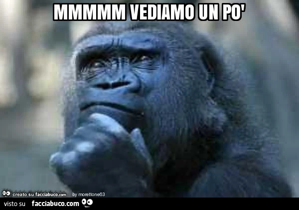 Mmmmm vediamo un po'