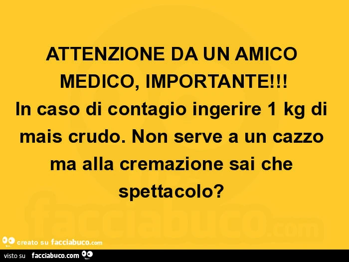 Attenzione da un amico medico, importante! In caso di contagio ingerire 1 kg di mais crudo. Non serve a un cazzo ma alla cremazione sai che spettacolo?