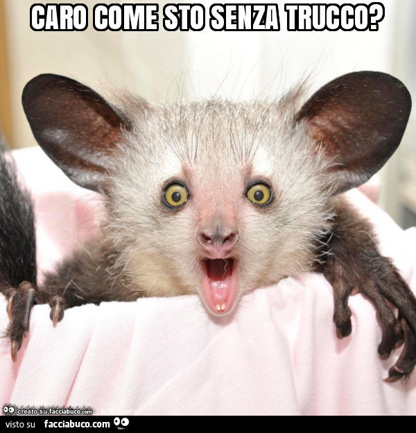 Caro come sto senza trucco?