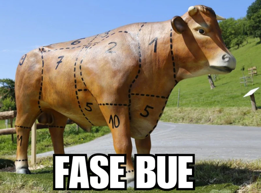 Fase 2? No. Fase bue