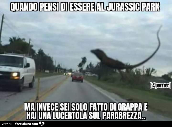 Quando pensi di essere al Jurassic Park ma invece sei solo fatto di grappa e hai una lucertola sul parabrezza