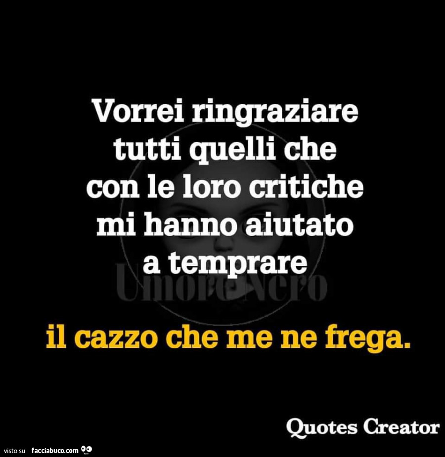 Vorrei ringraziare tutti quelli che con le loro critiche mi hanno aiutato a temprare il cazzo che me ne frega