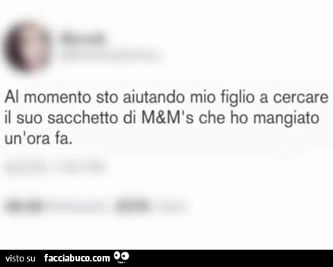 Al momento sto aiutando mio figlio a cercare il suo sacchetto di m&m's che ho mangiato un'ora fa