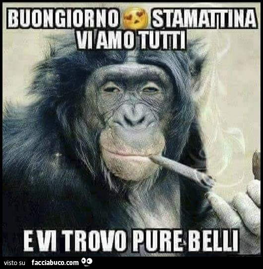 Buongiorno
