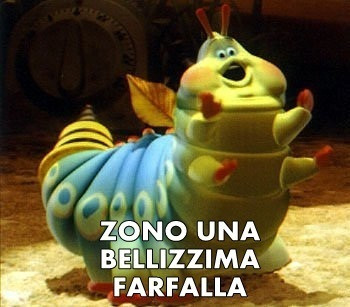 Vaccata