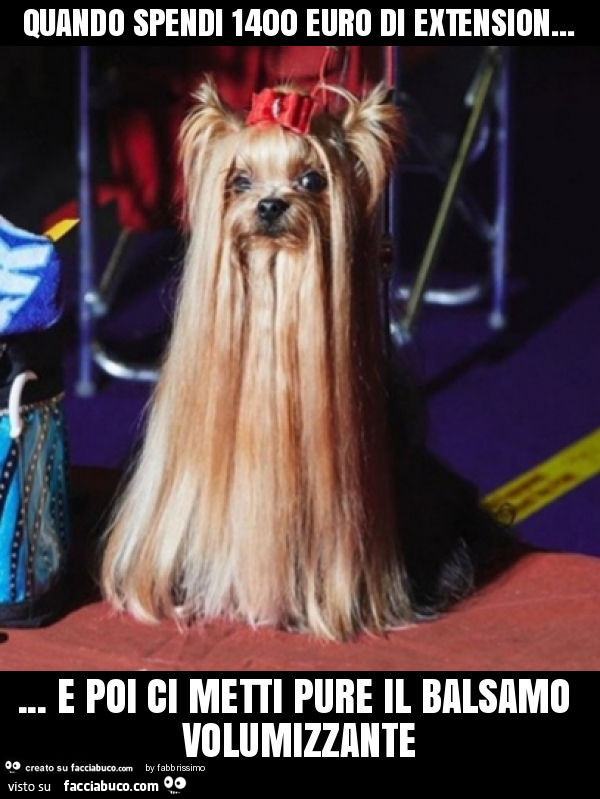 Quando spendi 1400 euro di extension… e poi ci metti pure il balsamo volumizzante