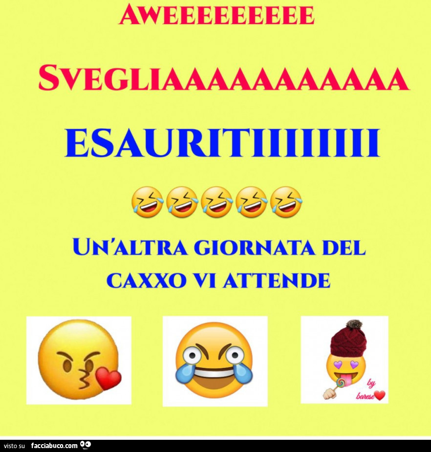 Vaccata
