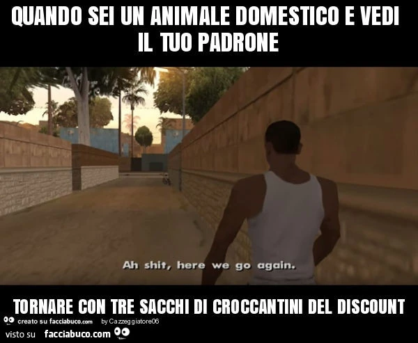 Quando sei un animale domestico e vedi il tuo padrone tornare con tre sacchi di croccantini del discount