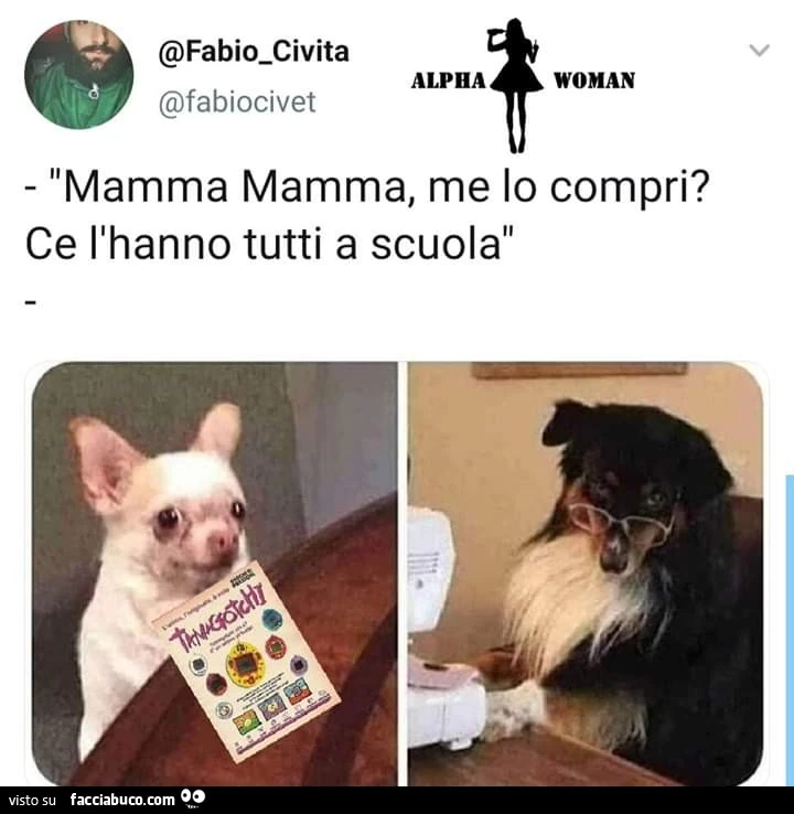 Vaccata