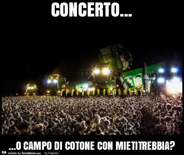 Concerto… o campo di cotone con mietitrebbia?