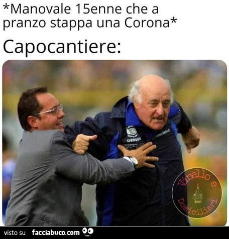 Vaccata