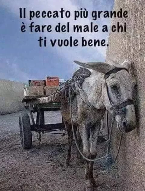 Rispettiamo gli animali sempre