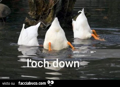 L'och down