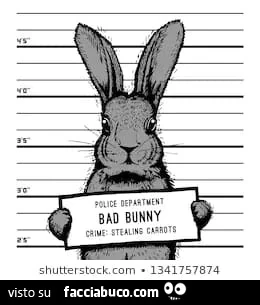 Bad Bunny