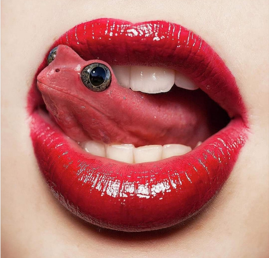 Sputa il rospo??… chiacchiera pubblicata da Corina - Facciabuco.com