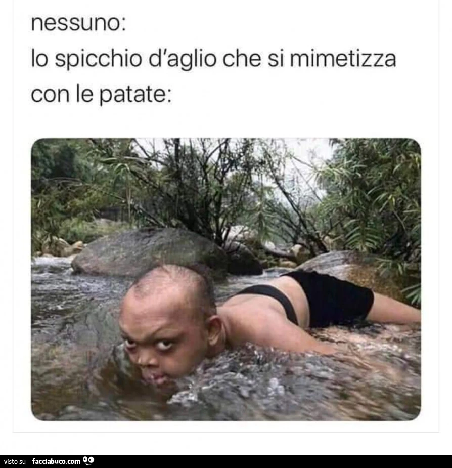 Lo spicchio d'aglio che si mimetizza tra le patate