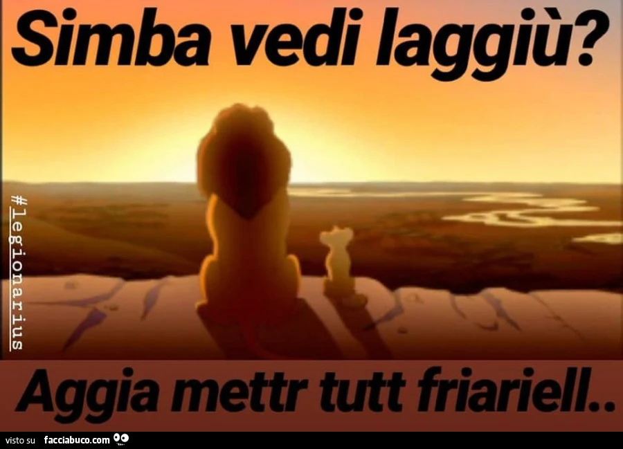 Simba vedi laggiù? Aggia mettr tutt friariell