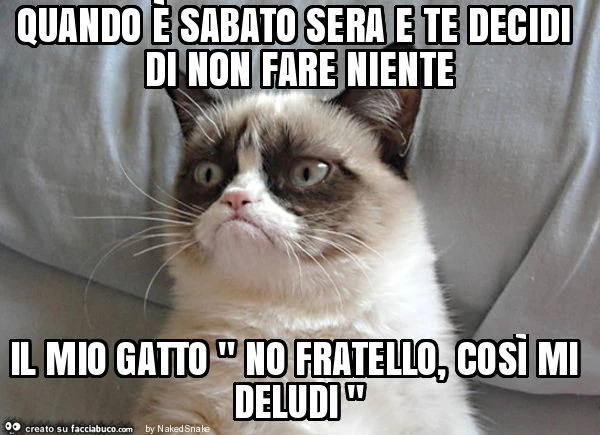 Quando è sabato sera e te decidi di non fare niente il mio gatto " no fratello, così mi deludi "