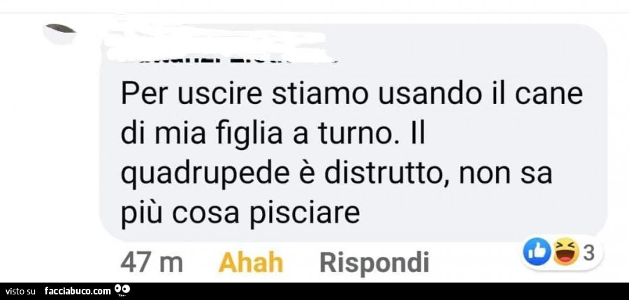 Per uscire stiamo usando Il cane di mia figlia a turno. Il quadrupede è distrutto, non sa più cosa pisciare